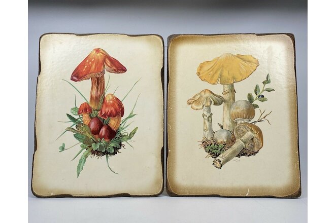 Set of 2 Vintage Claus Caspari Mushroom Art Print A Heritage Plaque on Wood 8x10