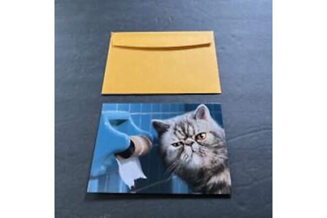 AVANTI Greeting Birthday card -cat play