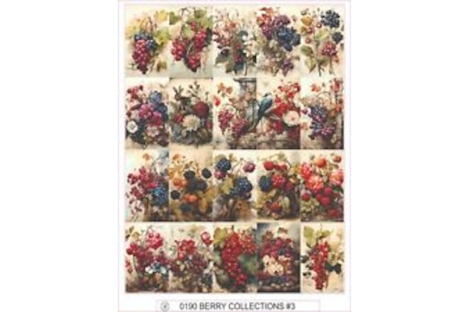 BERRY COLLECTIONS #3 -  COMPLETE SHEET OF 25 STICKERS