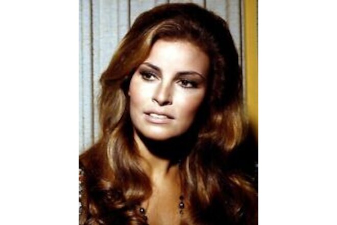 Raquel Welch candid 1967 portrait at press conference 24x30 Poster