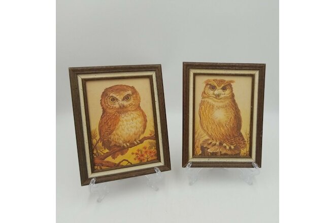Vintage Set of 2 Framed Owl Lithographs, Stapco NY, 1970's, Brown and Tan
