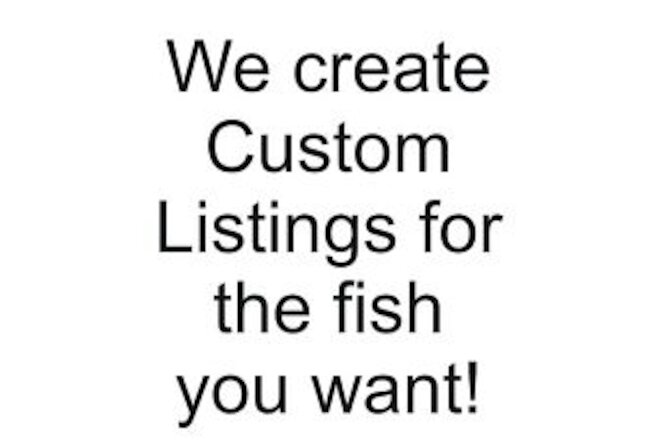 A special listing for another African Cichlid lover,  benjamihil_199