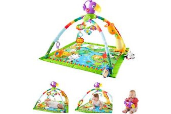 Fisher-Price Rainforest Music Lights Deluxe Gym Amazon Exclusive, Multicolor