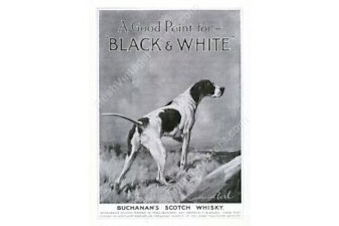 1915 Pointer dog art Black & White Scotch whisky print ad NEW poster 18x24