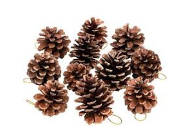 25 Pcs 1.6-2.4 Inches Christmas Pine Cones Decoration with String, Natural Ru...