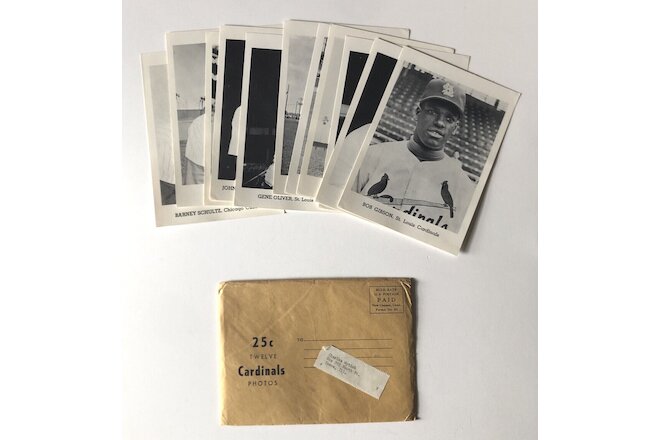 Lot Of Cardinals & Cubs 11 Early 1960's Black & White 5x7 Photo Cards w/Envelope