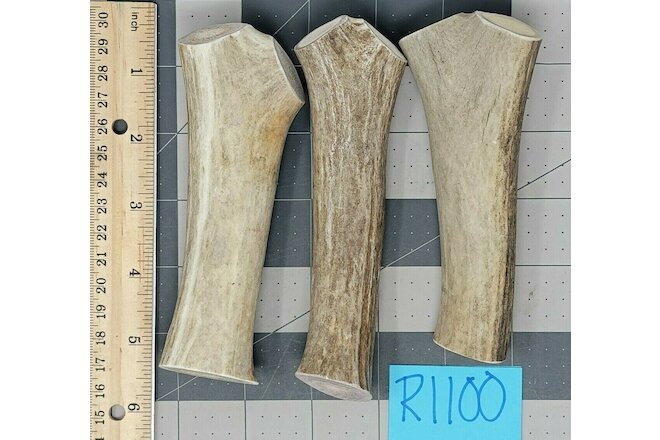 3 Small Real Whole Deer Antler Bone Dog Chew Toy & Dental Treat Lot