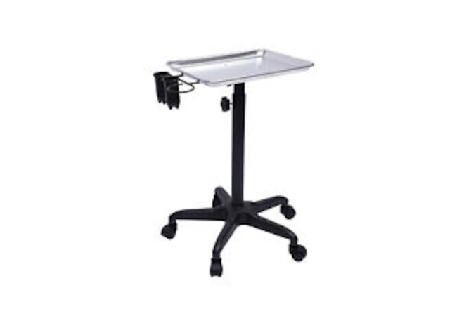 Dental Medical Doctor Tattoo Metal Rolling Service Tray Stand Salon Spa Beauty