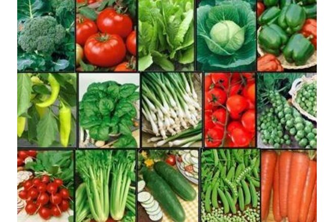 Vegetable FAVORITES Garden Lot ~ 15 Varieties ~ Over 1,625 Fresh Seeds ~ NON GMO