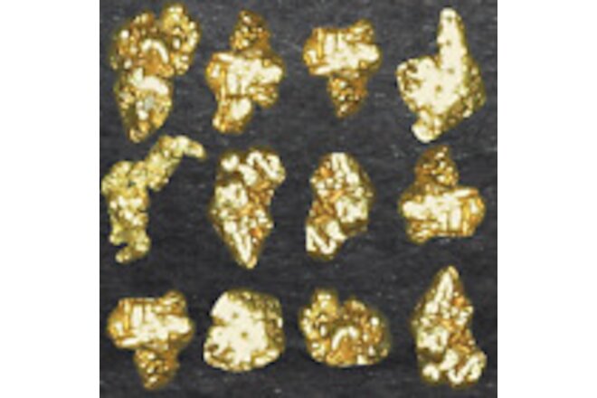 100 PIECE LOT ALASKAN YUKON BC NATURAL PURE GOLD NUGGETS IN GLASS VIAL