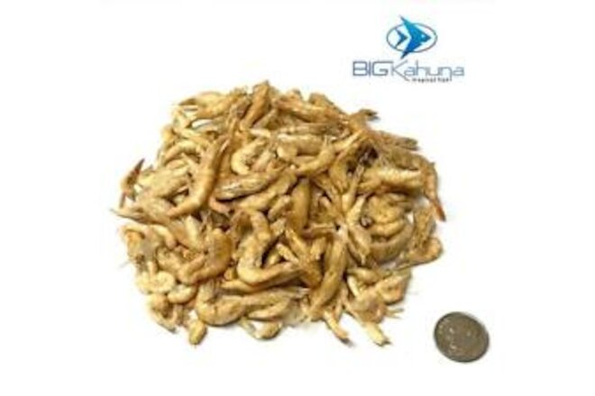 RED SHRIMP FREEZE DRIED RIVER SHRIMP  1/2"-1.5"   BEST AVAILABLE! FREE SHIPPING!