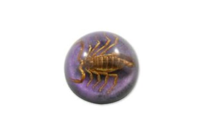 REALBUG 2 1/2 x 1 1/4" Golden Scorpion Dome Paperweight Purple