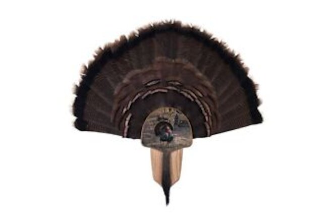 Walnut Hollow Country Turkey Fan Mount & Display Kit, Does not Apply