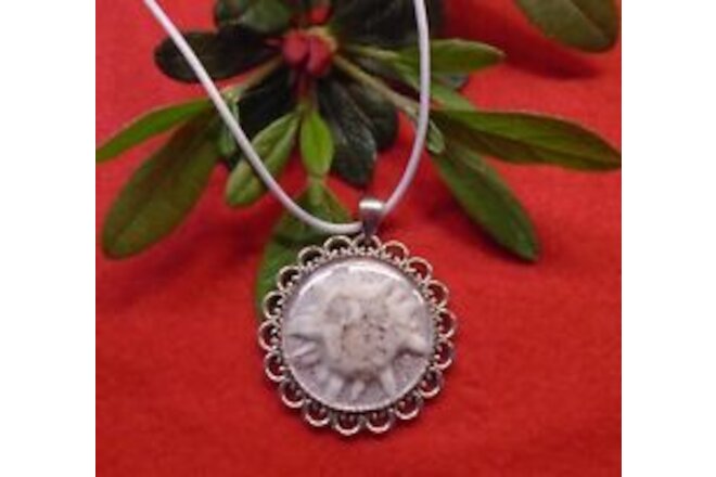 Edelweiss Dried Flower REAL Silver Tone Pendant Necklace Vintage Inspired NEW