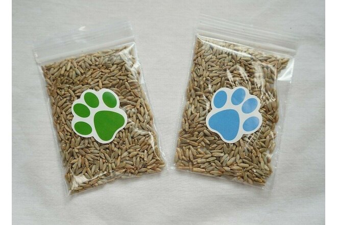 Over 1 Oz. Premium Indoor Pet HAPPY CAT Cereal Rye Grass Over 1500 Seeds!