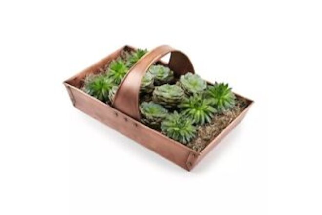 Copper Garden Trug Basket，gardeners Best Friend，Great for Carrying Plants