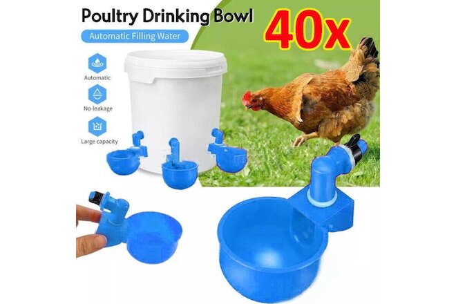 40x Automatic Water Cup Poultry Drinker Waterer Chicken Duck Quail Drinking Feed