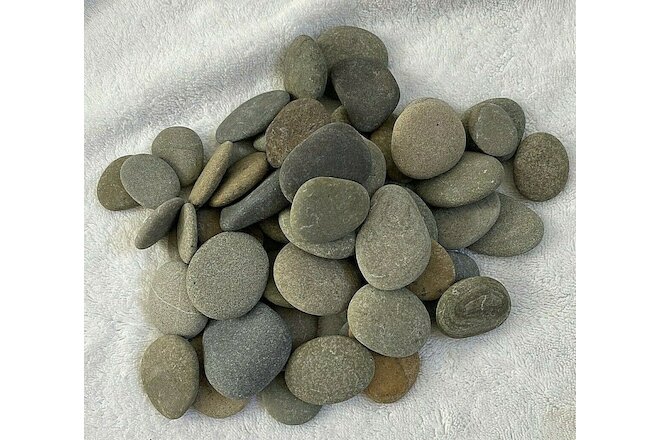 Thirty (30) Small Flat Beach Rocks, (1”- 2”) Ready for Painting!