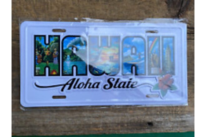 HAWAII Aloha State Souvenir License Plate Artwork by Eddy Y New