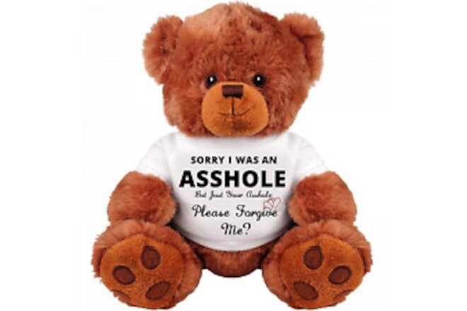 Sorry Forgive ME? : Apology Gift : Cute and Cuddly : Romantic Funny Teddy Bear C