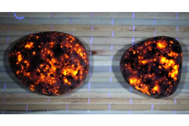 Set of 2 Yooperlite Rocks on Lake Superior Fluorescent Sodalite Stones B5