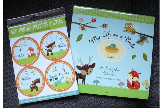 NEW Baby Memory and Milestone Set with Monthly Stickers & 1st Year Calendar