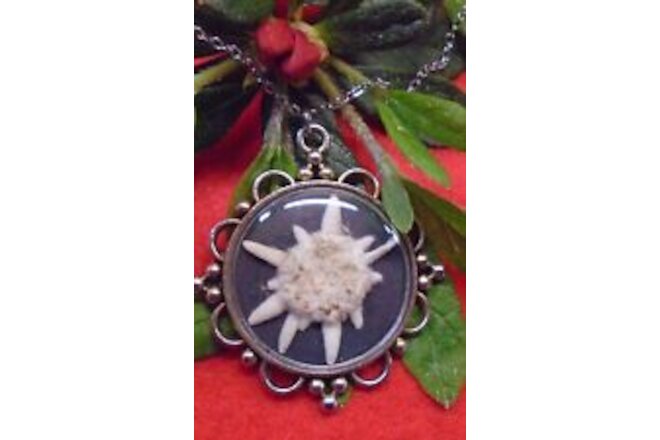 Edelweiss Dried Flower REAL Silver Tone Pendant Necklace Vintage Inspired NEW