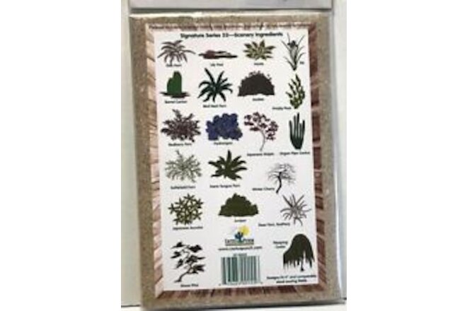 Cactus Punch Embroidery Card CD Multi Format Signature Series Scenery Ingredient