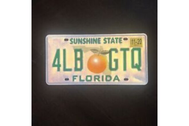 FLORIDA SOUVENIR LICENSE PLATE sale Helps TUNNELTOTOWERS.ORG