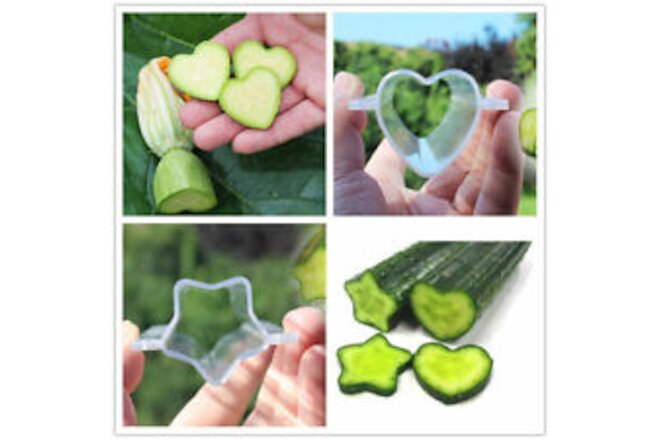 Plastic Cucumber Growth Forming Mold Heart/Star Fruit Shaping Growing Mold