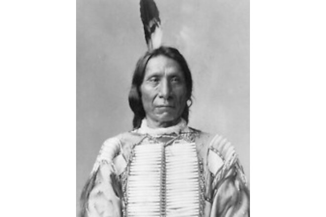 Chief Red Cloud leader of the Oglala Lakota 8"x10" Photograph Print 8x10