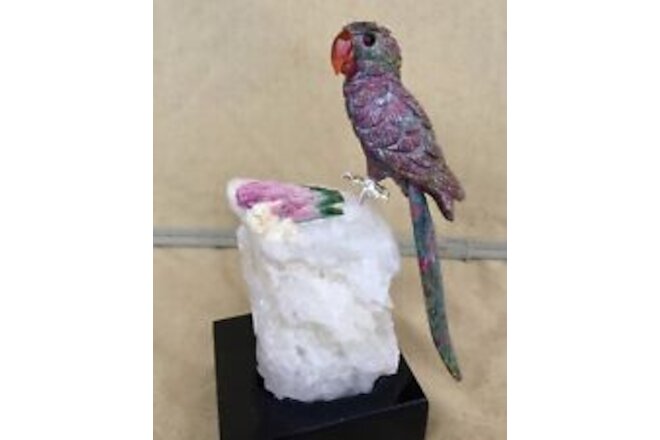 Ruby in Kyanite Macaw on Bicolor Tourmaline 6 3/4" -Peter Muller
