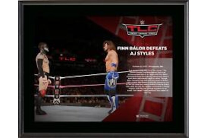 Finn Blor & AJ Styles World Wrestling Entertainment 10.5" x 13