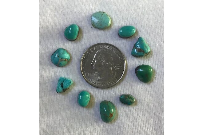 TEN SMALL TURQUOISE Cabochons, 23 cts