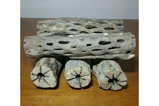 5 THICK pieces of 6" inch CHOLLA Wood Cactus | Fish, Shrimp Aquarium | Crafts!