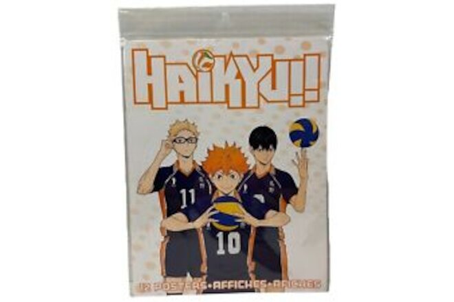 Haikyu!! Volleyball Game Posters Set of 12 Room Decor New Sealed.