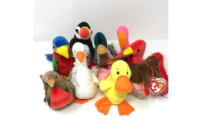 Ty Beanie Baby Lot of 8 Birds Beanie Babies - Pre-Owned