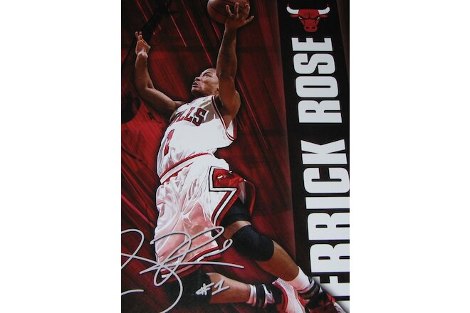 NBA Basketball Mini Wall Poster Chicago Bulls DERRICK ROSE Dunking LOT of 2