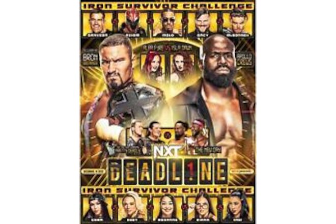 WWE NXT Deadline 2022 Unsigned 11"x 14" Event Poster Art Photo