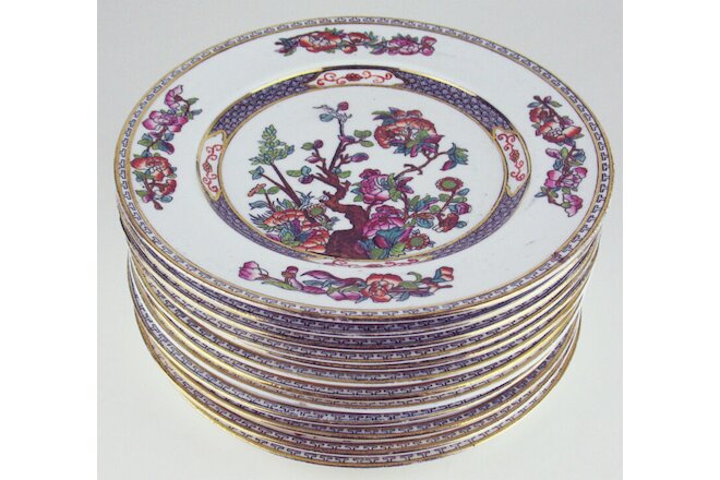 Set 12 x Antique Dinner Plates Indian Tree Pattern c1860 England maker unknown