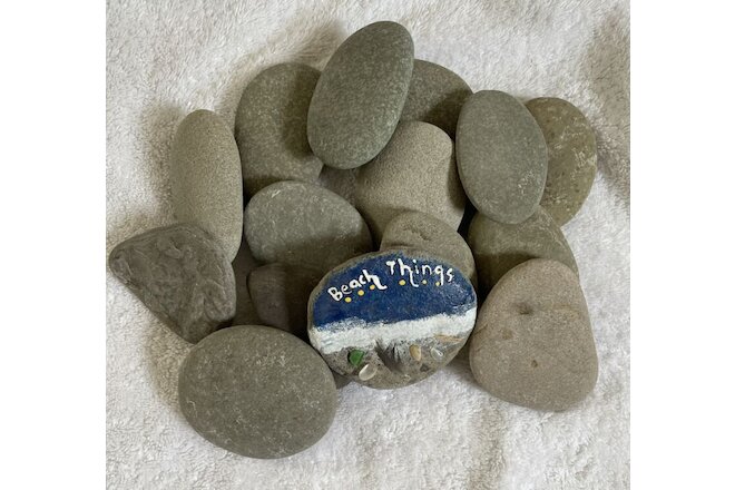 Seven (7) Large Sized Flat Beach Rocks! Size 3" - 3 1/2" - Ready for Painting!