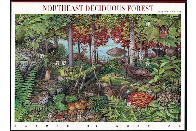 10 Mint NORTHEAST DECIDUOUS FOREST Stamps: Turkey, Ovenbird, Red-Shouldered Hawk